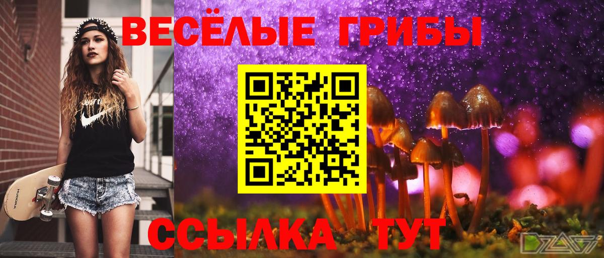 Галлюциногенные грибы Psilocybe  как найти закладки  Усть-Илимск  Вход с VPN 