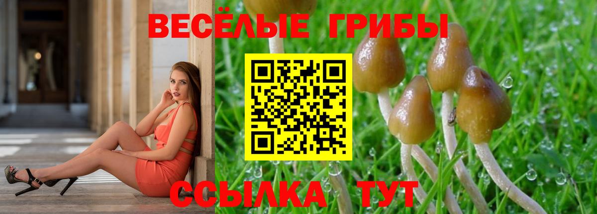 Псилоцибиновые грибы мицелий Усть-Илимск